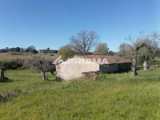 Quinta T2 para Venda em Tinalhas Foto 10