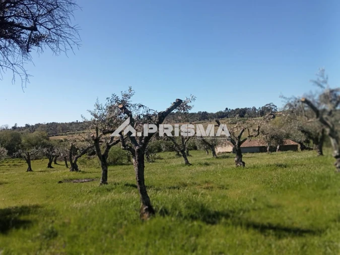 Quinta T2 para Venda em Tinalhas Foto 14