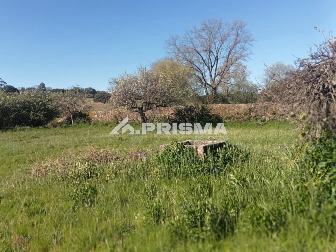 Quinta T2 para Venda em Tinalhas Foto 6