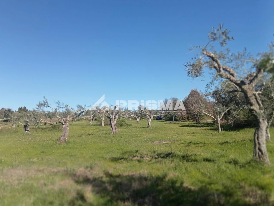 Quinta T2 para Venda em Tinalhas Foto 2
