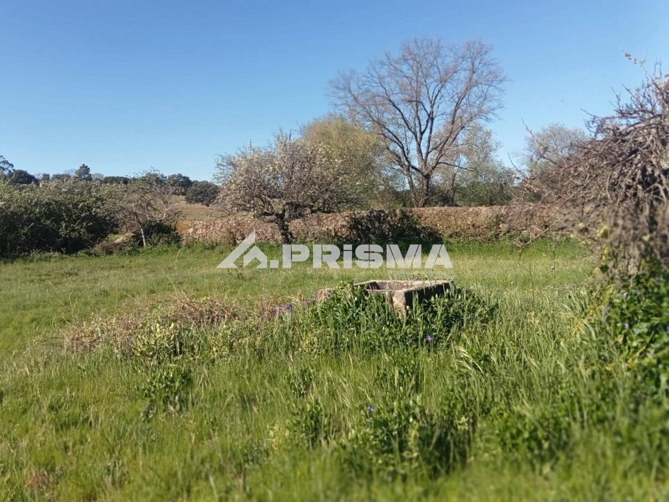 Quinta T2 para Venda em Tinalhas Foto 6