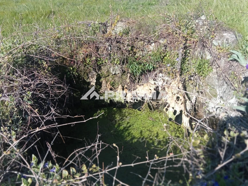 Quinta T2 para Venda em Tinalhas Foto 5