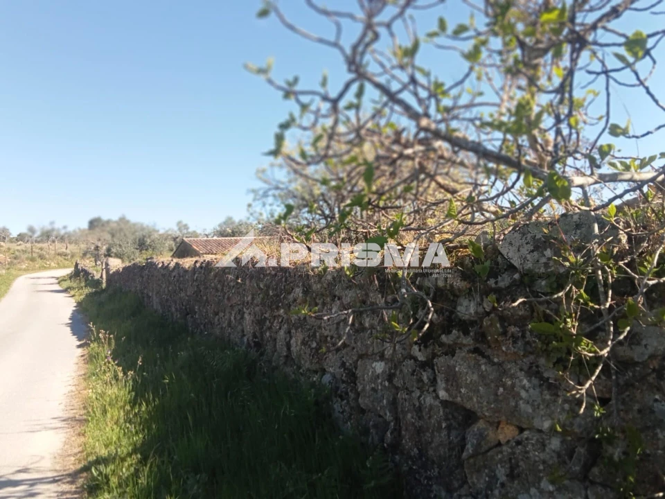 Quinta T2 para Venda em Tinalhas Foto 16