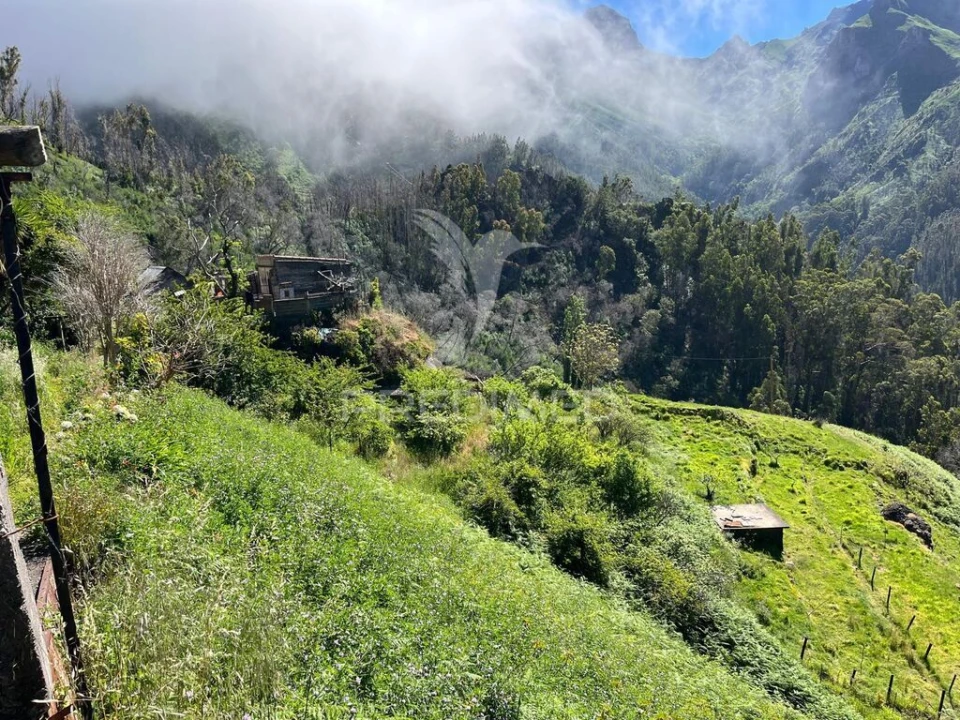 Terreno para Venda em Ribeira Brava Foto 6