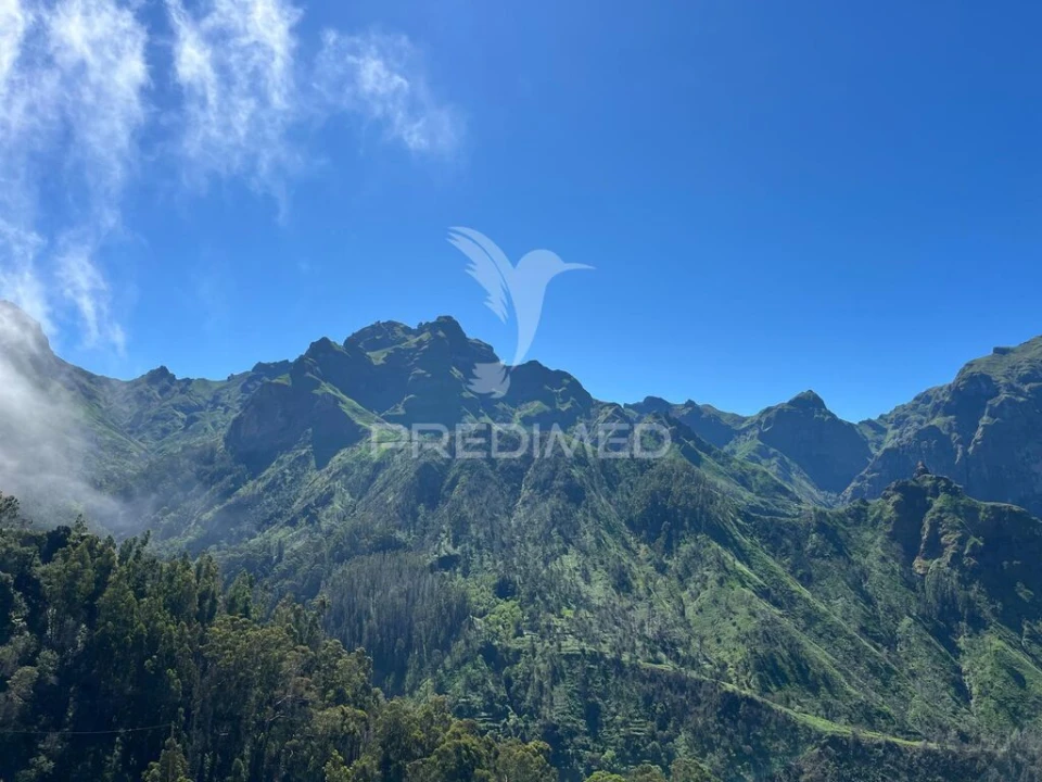 Terreno para Venda em Ribeira Brava Foto 5