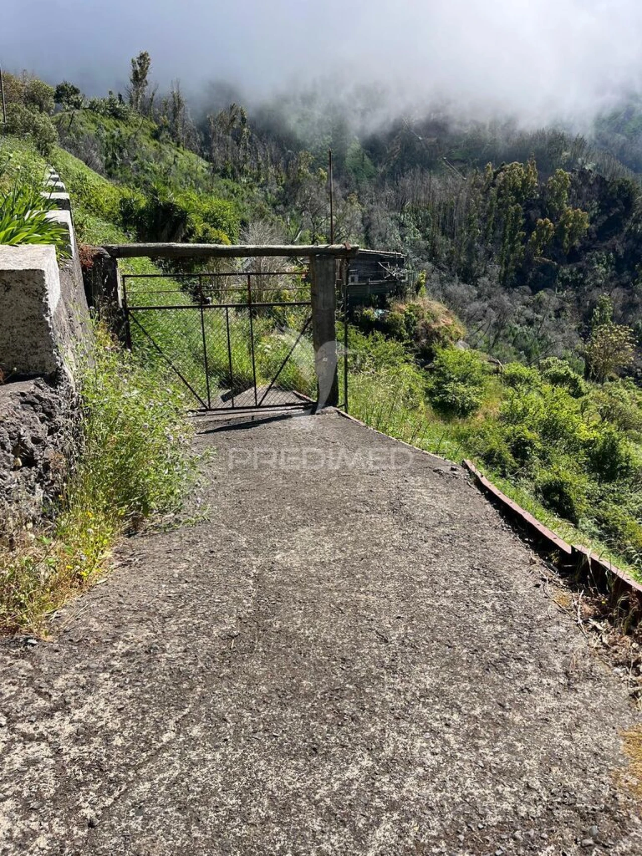 Terreno para Venda em Ribeira Brava Foto 3