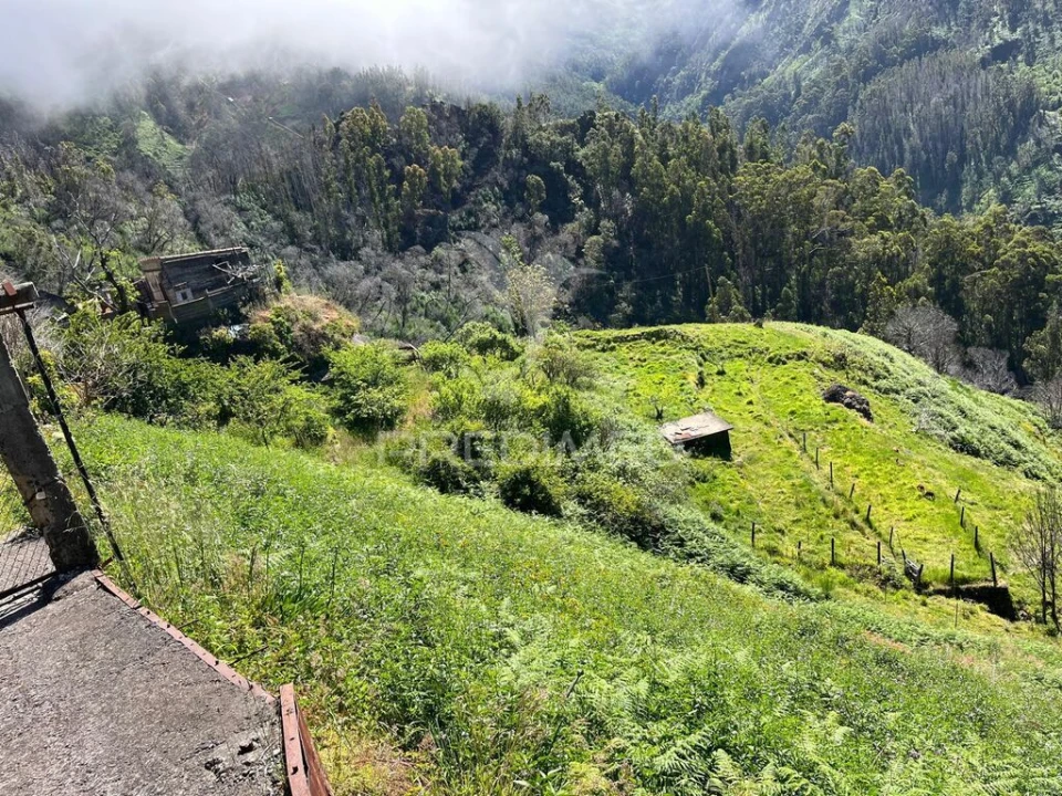 Terreno para Venda em Ribeira Brava Foto 2
