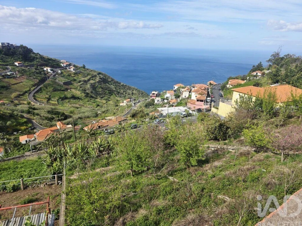 Terreno para Venda em Camara de Lobos Foto 5