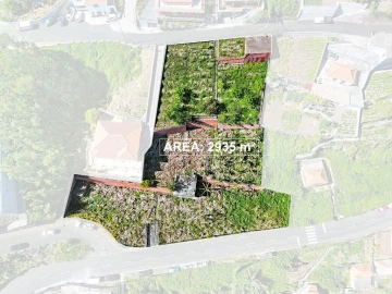 Terreno para Venda em Camara de Lobos