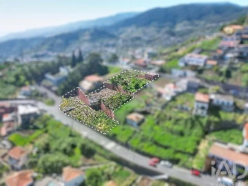 Terreno para Venda em Camara de Lobos
