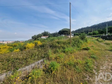 Terreno para Venda em Areosa