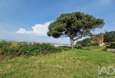 Terreno para Venda em Areosa
