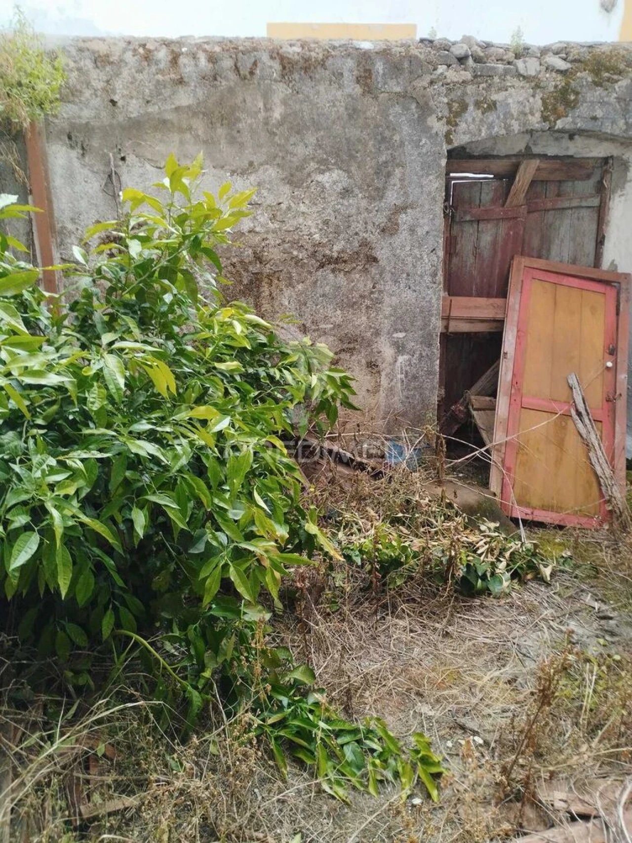 Moradia para Venda em Ribeira de Nisa e Carreiras Foto 5