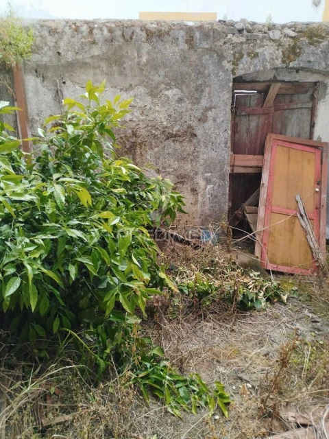 Moradia para Venda em Ribeira de Nisa e Carreiras
