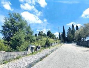 Terreno para Venda em Luso