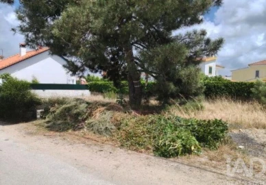 Terreno para Venda em Azeitão (São Lourenço e São Simão)