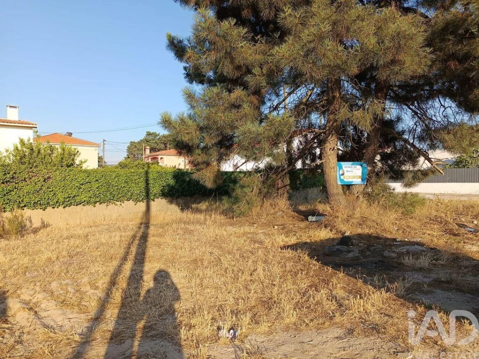 Terreno para Venda em Azeitão (São Lourenço e São Simão) Foto 9