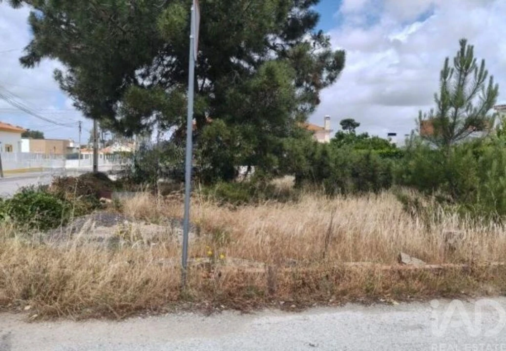 Terreno para Venda em Azeitão (São Lourenço e São Simão) Foto 2