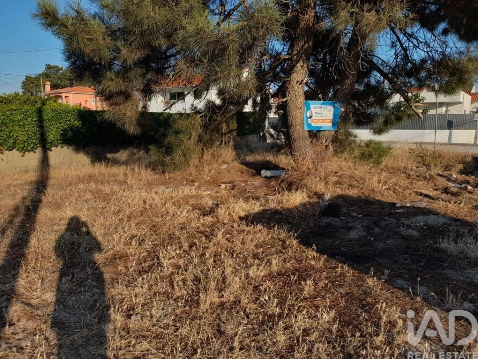 Terreno para Venda em Azeitão (São Lourenço e São Simão) Foto 2