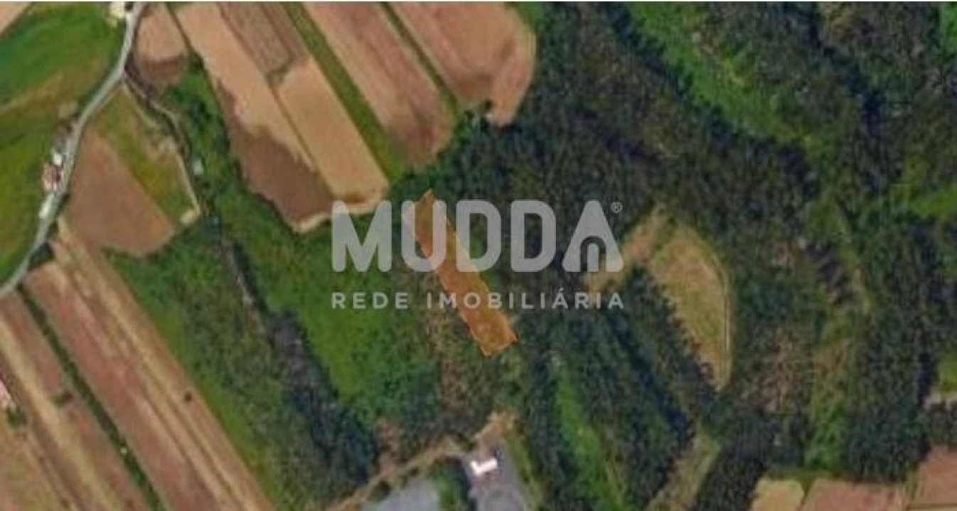 Terreno para Venda em Valega Foto 1