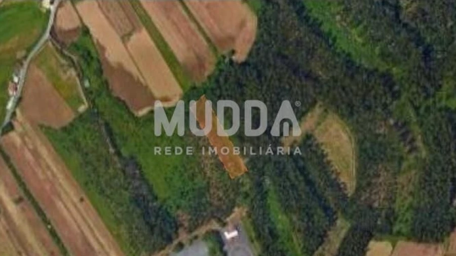 Terreno para Venda em Valega