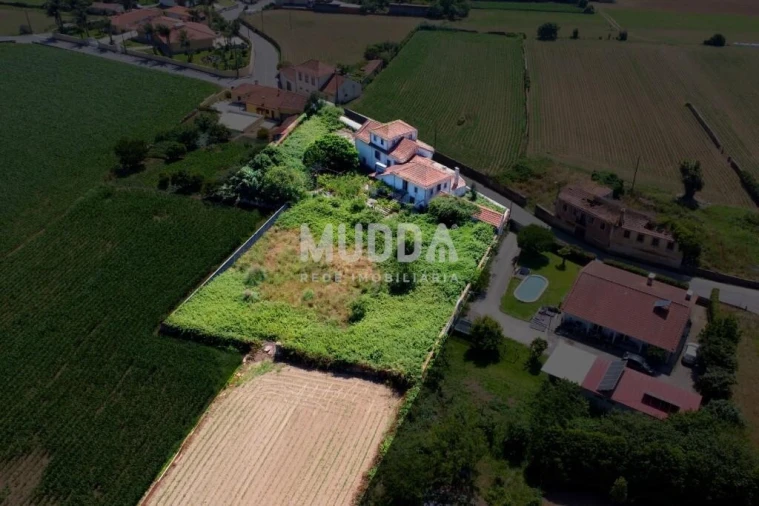 Moradia T6 para Venda em Valega Foto 46