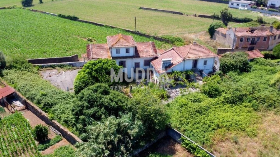 Moradia T6 para Venda em Valega