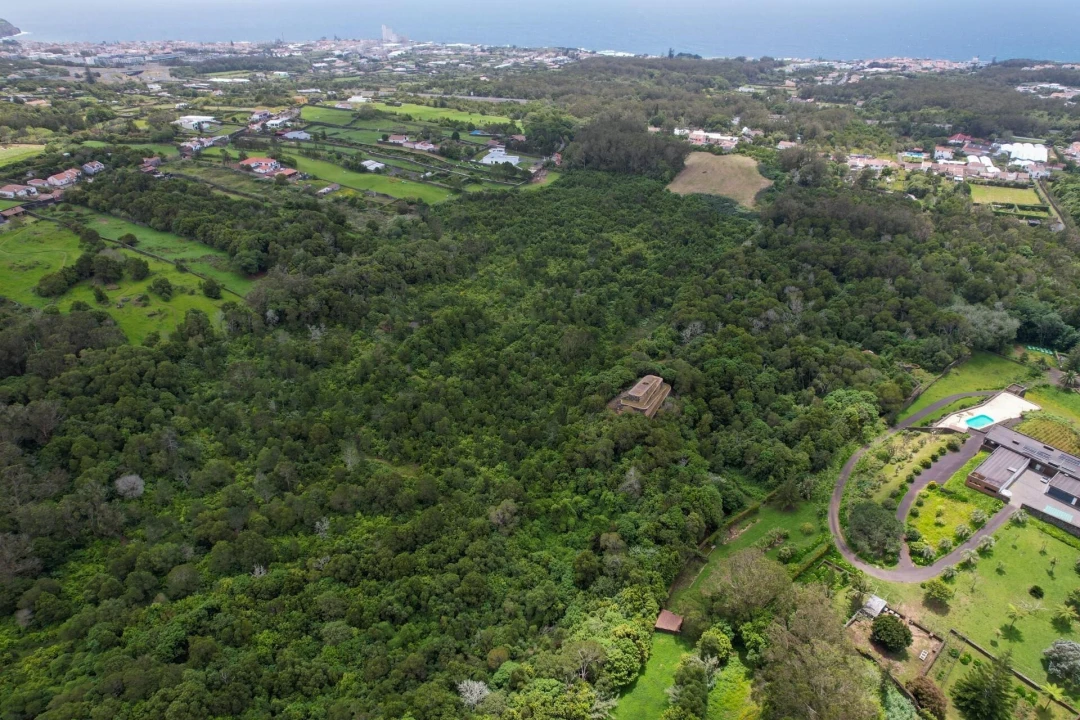 Terreno para Venda em Rosto do Cão (Livramento) Foto 4