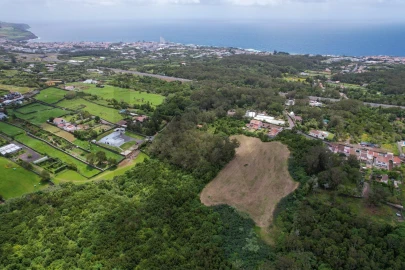 Terreno para Venda em Rosto do Cão (Livramento)