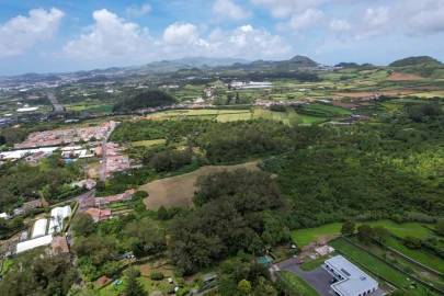 Terreno para Venda em Rosto do Cão (Livramento)