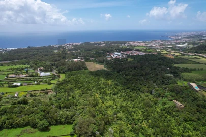 Terreno para Venda em Rosto do Cão (Livramento)