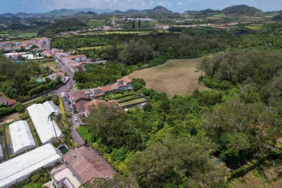 Terreno para Venda em Rosto do Cão (Livramento)