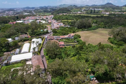 Terreno para Venda em Rosto do Cão (Livramento)