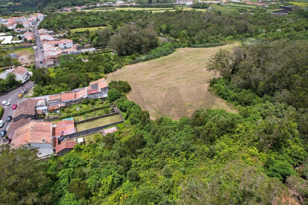 Terreno para Venda em Rosto do Cão (Livramento) Foto 12