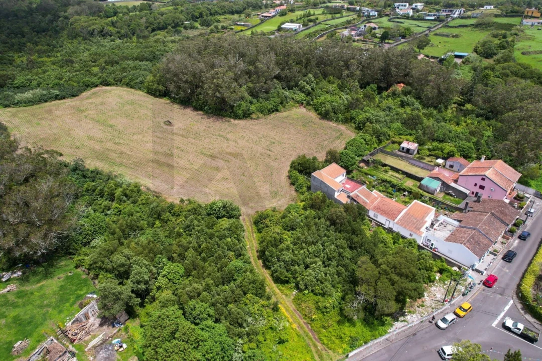 Terreno para Venda em Rosto do Cão (Livramento) Foto 11