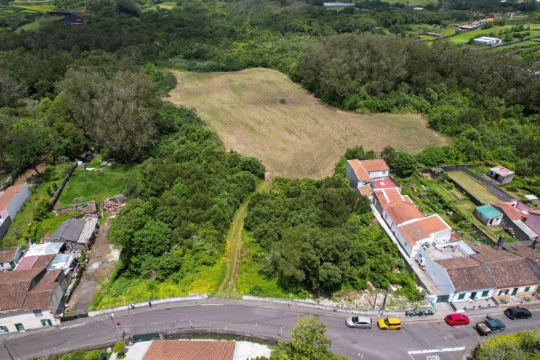 Terreno para Venda em Rosto do Cão (Livramento) Foto 14