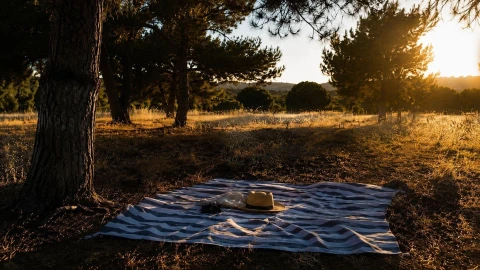 Terreno para Venda em Lagoa e Carvoeiro