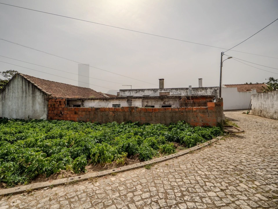 Moradia T1 para Venda em Vermelha Foto 7
