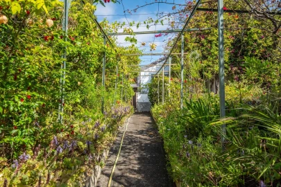 Quinta T4 para Venda em Funchal (São Pedro)