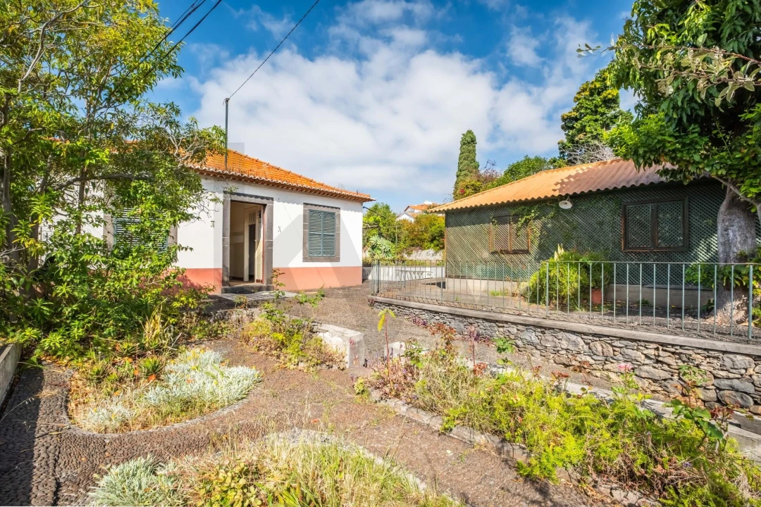 Quinta T4 para Venda em Funchal (São Pedro) Foto 3