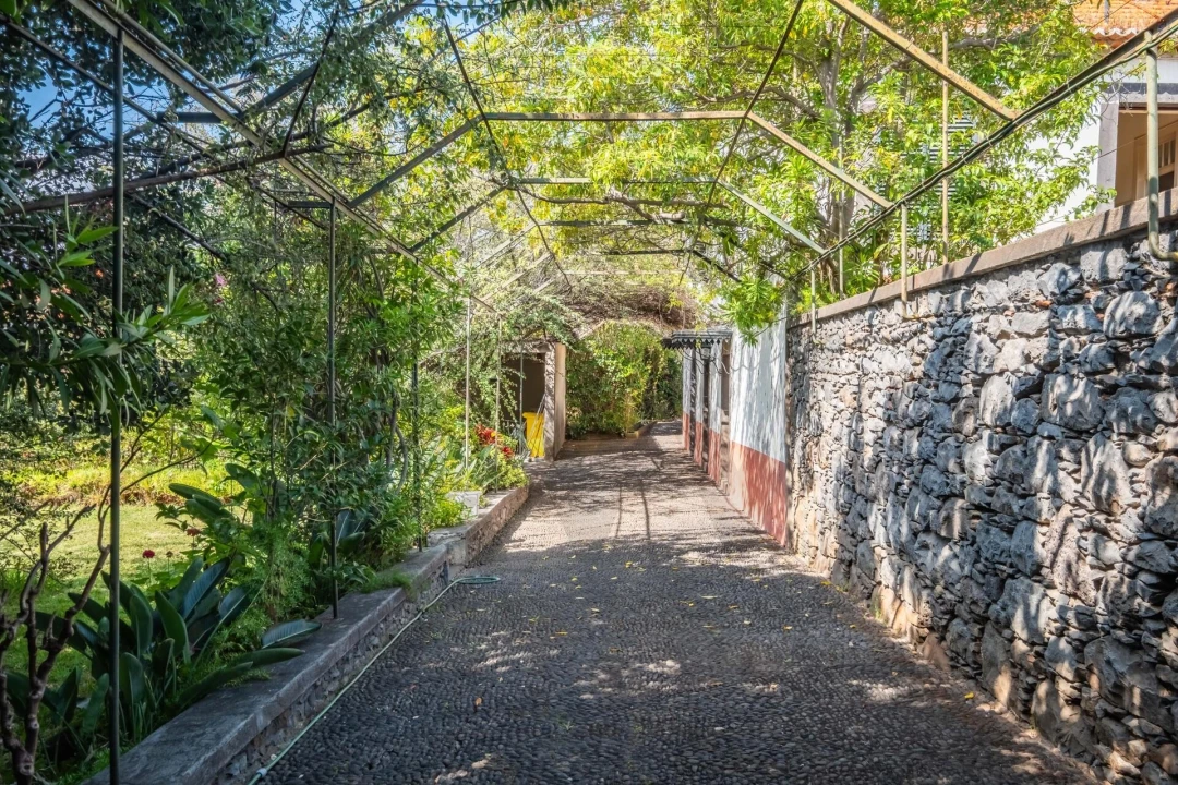 Quinta T4 para Venda em Funchal (São Pedro) Foto 18