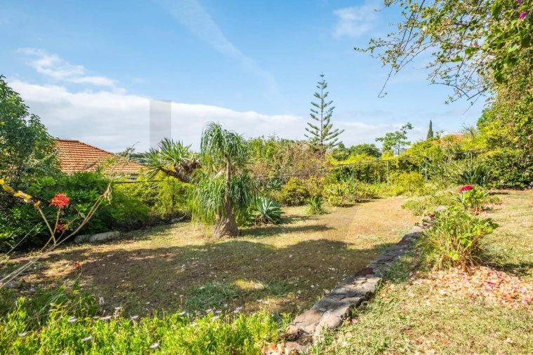 Quinta T4 para Venda em Funchal (São Pedro) Foto 17