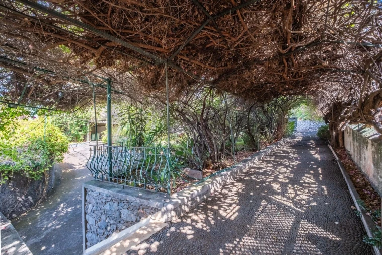 Quinta T4 para Venda em Funchal (São Pedro) Foto 19