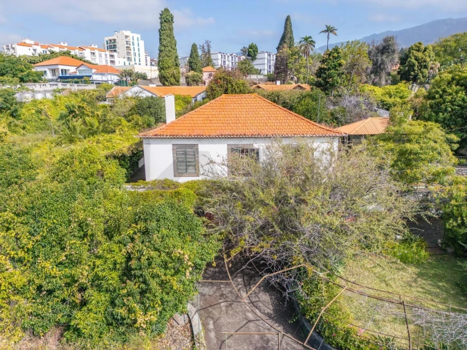 Quinta T4 para Venda em Funchal (São Pedro) Foto 36