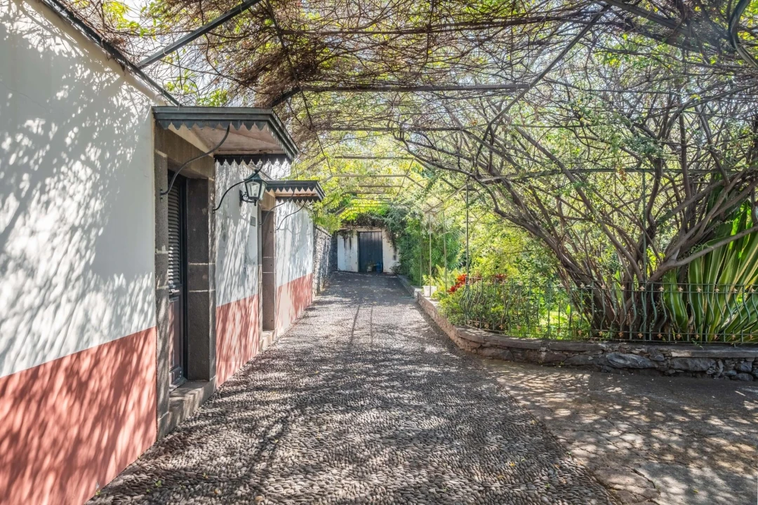 Quinta T4 para Venda em Funchal (São Pedro) Foto 21
