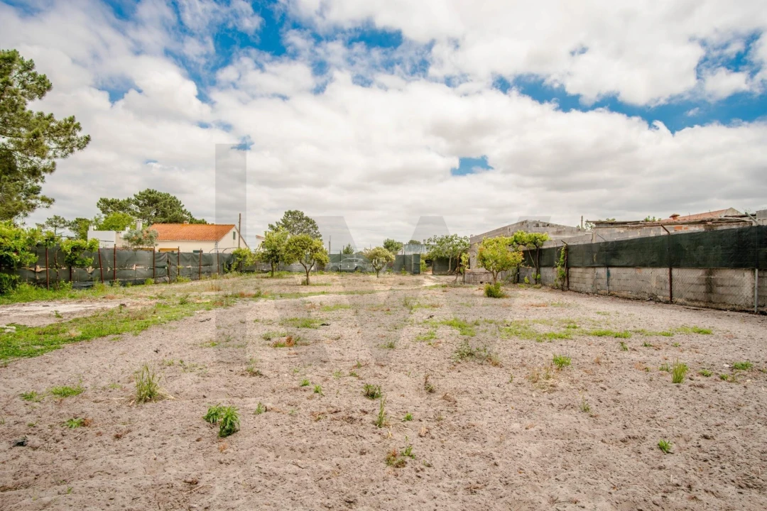 Terreno para Venda em Quinta do Anjo Foto 1