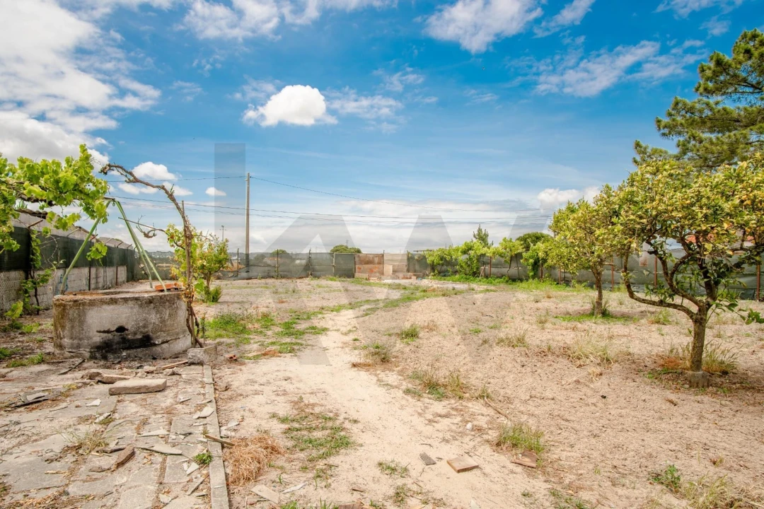 Terreno para Venda em Quinta do Anjo Foto 13