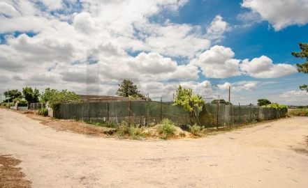 Terreno para Venda em Quinta do Anjo