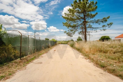 Terreno para Venda em Quinta do Anjo