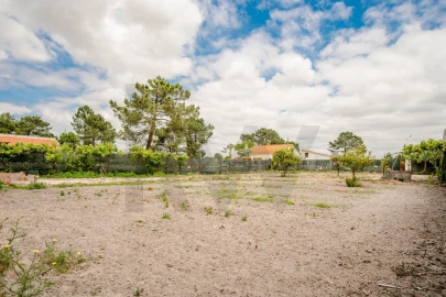 Terreno para Venda em Quinta do Anjo